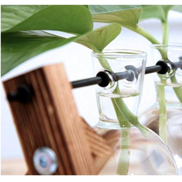 Desktop Glass Planter 3 Bulb Vase - Picture 4 of 9